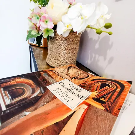 Magnum 80 Terrasse & Climatisation - 6 Personnes - * Épernay